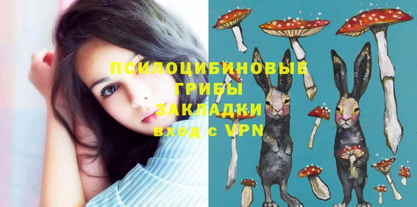 амф Горно-Алтайск