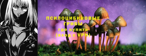 амф Вязьма